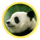 VSCodeMarketplace profile picture for @camaro